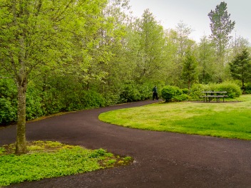 Curved path in local park.