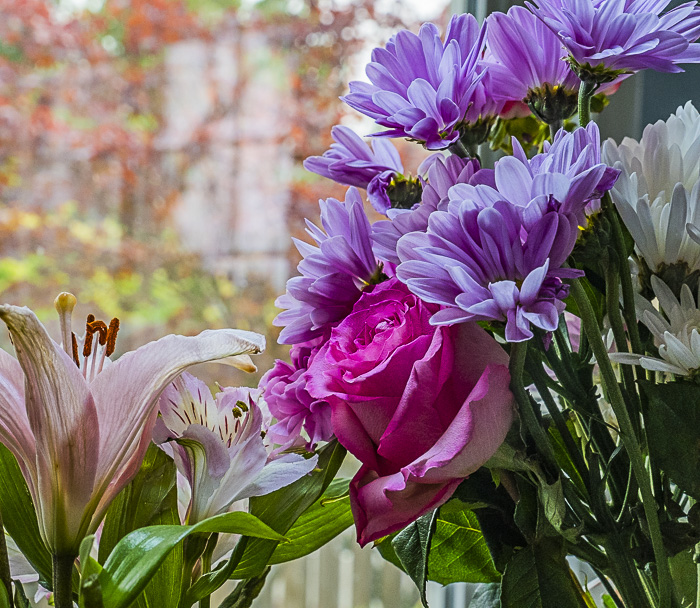 FOTD – September 12 – New Bouquet