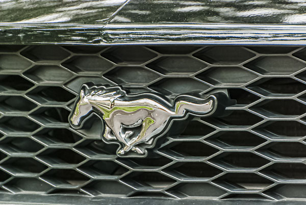 Mustangs – Fan of … Challenge